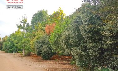 🏡León Propiedades vende hermosa Casa en los Naranjos, Curacaví🏡