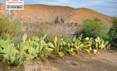 🏡León Propiedades vende hermosa Casa en los Naranjos, Curacaví🏡