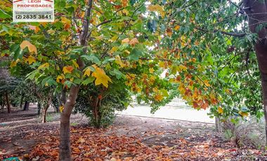 🏡León Propiedades vende hermosa Casa en los Naranjos, Curacaví🏡