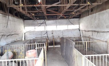 Se Vende Terreno en Licanten-Curicó V 1005-250-GR-9.19