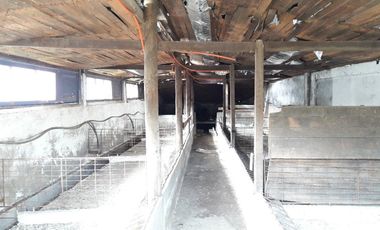 Se Vende Terreno en Licanten-Curicó V 1005-250-GR-9.19