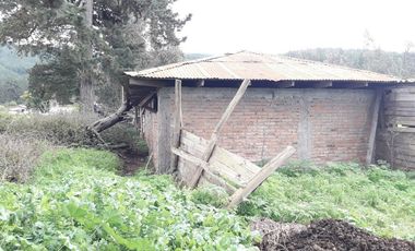 Se Vende Terreno en Licanten-Curicó V 1005-250-GR-9.19