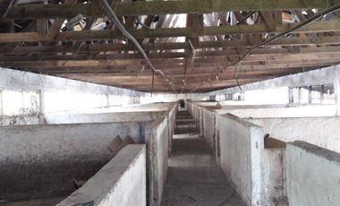 Se Vende Terreno en Licanten-Curicó V 1005-250-GR-9.19
