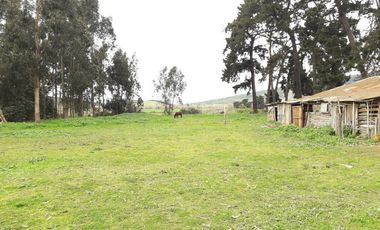 Se Vende Terreno en Licanten-Curicó V 1005-250-GR-9.19
