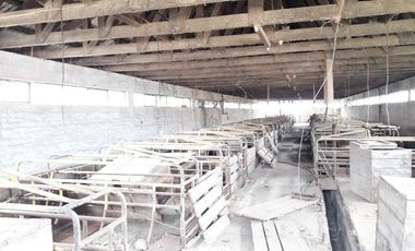 Se Vende Terreno en Licanten-Curicó V 1005-250-GR-9.19