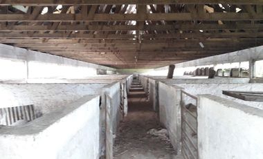 Se Vende Terreno en Licanten-Curicó V 1005-250-GR-9.19