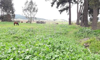 Se Vende Terreno en Licanten-Curicó V 1005-250-GR-9.19