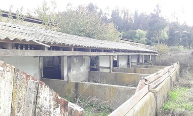 Se Vende Terreno en Licanten-Curicó V 1005-250-GR-9.19