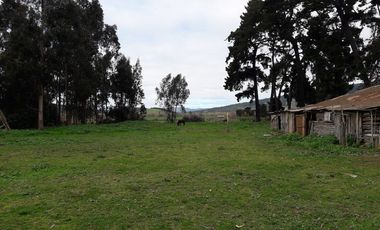 Se Vende Terreno en Licanten-Curicó V 1005-250-GR-9.19