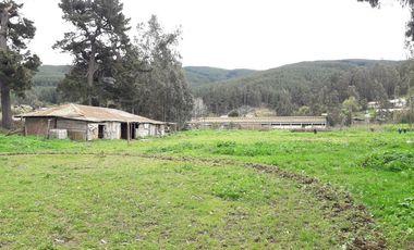 Se Vende Terreno en Licanten-Curicó V 1005-250-GR-9.19