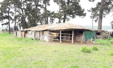 Se Vende Terreno en Licanten-Curicó V 1005-250-GR-9.19