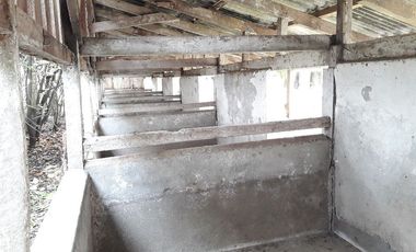 Se Vende Terreno en Licanten-Curicó V 1005-250-GR-9.19