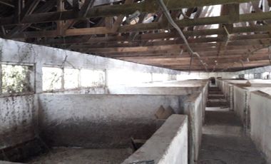 Se Vende Terreno en Licanten-Curicó V 1005-250-GR-9.19