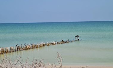 increible terreno en venta frente a la playa de Chuburna , Progreso Yucatán