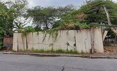 208sqm vacant lot for sale in Vermont Park Executive Village Barangay Mayamot Antipolo City Rizal