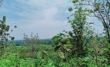 Tanah 3,7 Hektar dekat Pasar Karangpandan, Karanganyar