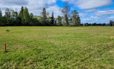 Exclusivo Proyecto de sólo 14 Parcelas en LLastuco a 4km de Máfil, Valdivia