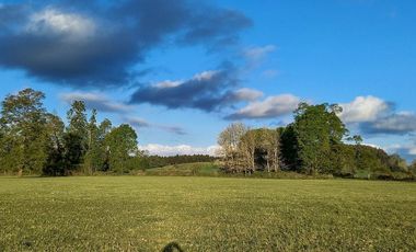 Exclusivo Proyecto de sólo 14 Parcelas en LLastuco a 4km de Máfil, Valdivia