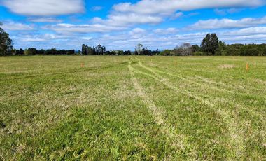 Exclusivo Proyecto de sólo 14 Parcelas en LLastuco a 4km de Máfil, Valdivia