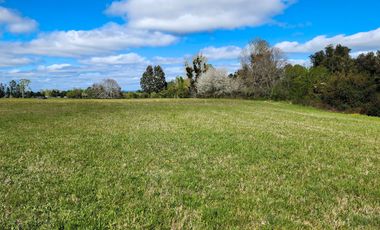 Exclusivo Proyecto de sólo 14 Parcelas en LLastuco a 4km de Máfil, Valdivia