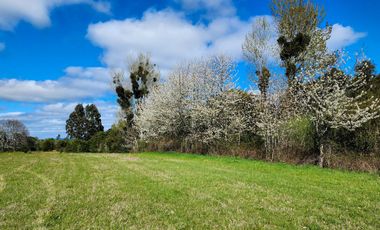 Exclusivo Proyecto de sólo 14 Parcelas en LLastuco a 4km de Máfil, Valdivia