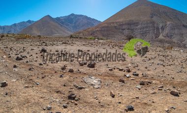 Gran parcela en sector Mamalluca (Vicuña), 11.000 m2, Valle del Elqui. $42 millones