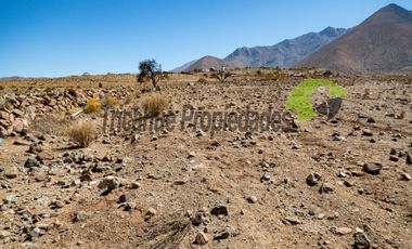 Gran parcela en sector Mamalluca (Vicuña), 11.000 m2, Valle del Elqui. $42 millones
