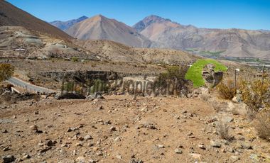 Gran parcela en sector Mamalluca (Vicuña), 11.000 m2, Valle del Elqui. $42 millones