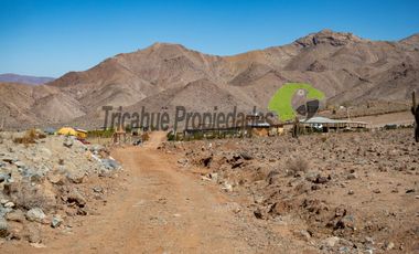 Gran parcela en sector Mamalluca (Vicuña), 11.000 m2, Valle del Elqui. $42 millones