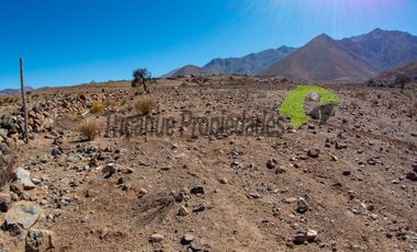 Gran parcela en sector Mamalluca (Vicuña), 11.000 m2, Valle del Elqui. $42 millones