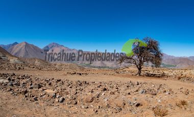 Gran parcela en sector Mamalluca (Vicuña), 11.000 m2, Valle del Elqui. $42 millones