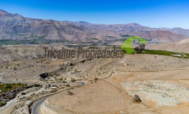 Gran parcela en sector Mamalluca (Vicuña), 11.000 m2, Valle del Elqui. $42 millones