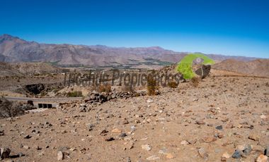 Gran parcela en sector Mamalluca (Vicuña), 11.000 m2, Valle del Elqui. $42 millones