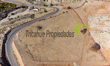 Gran parcela en sector Mamalluca (Vicuña), 11.000 m2, Valle del Elqui. $42 millones