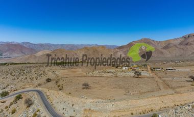 Gran parcela en sector Mamalluca (Vicuña), 11.000 m2, Valle del Elqui. $42 millones