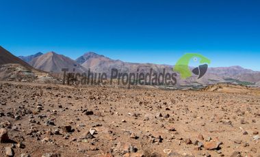 Gran parcela en sector Mamalluca (Vicuña), 11.000 m2, Valle del Elqui. $42 millones