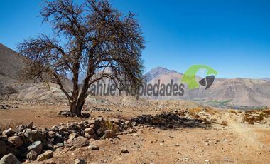 Gran parcela en sector Mamalluca (Vicuña), 11.000 m2, Valle del Elqui. $42 millones