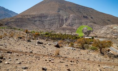 Gran parcela en sector Mamalluca (Vicuña), 11.000 m2, Valle del Elqui. $42 millones
