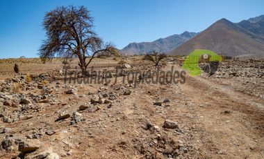 Gran parcela en sector Mamalluca (Vicuña), 11.000 m2, Valle del Elqui. $42 millones