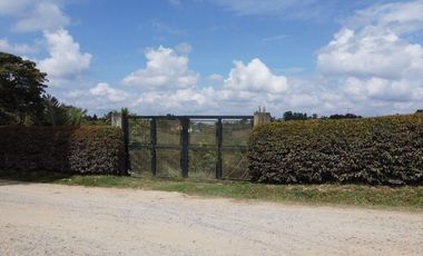 Venta de Finca Marinilla, Vereda la Gaviria