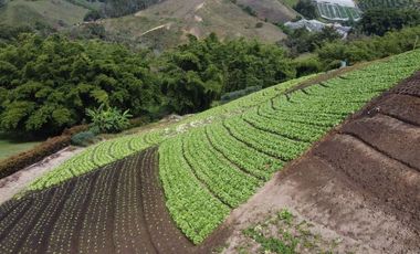 Venta de Finca Marinilla, Vereda la Gaviria
