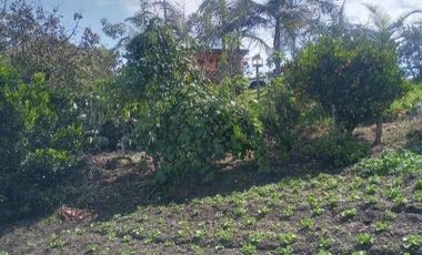 Venta de Finca Marinilla, Vereda la Gaviria