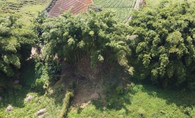 Venta de Finca Marinilla, Vereda la Gaviria
