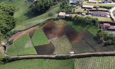 Venta de Finca Marinilla, Vereda la Gaviria