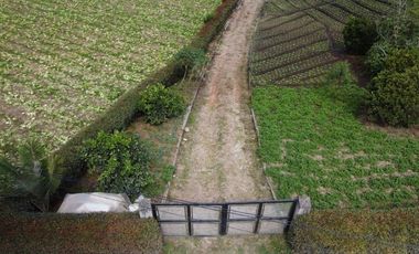 Venta de Finca Marinilla, Vereda la Gaviria