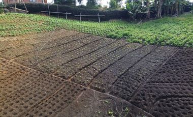 Venta de Finca Marinilla, Vereda la Gaviria