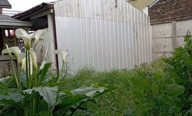 AVENIDA ERRAZURIZ, CASA, DEPTO Y DOS CABAÑAS $ 286.000.000.