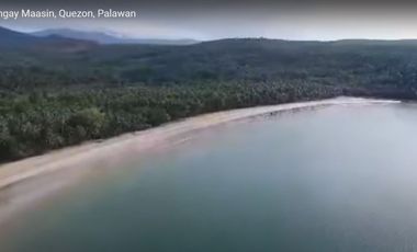 Looking for your own slice of paradise in Palawan? Look no further than the 392-hectare beach lot in Barangay Maasin, Quezon! With 3.8 kilometers of stunning shoreline, this property offers a truly unique opportunity to own a piece of one of the most beautiful islands in the world.