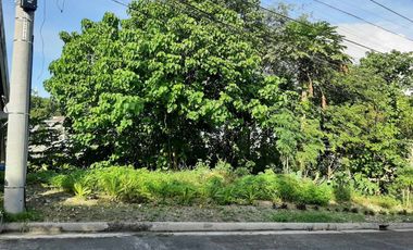 Residential Lot for Sale in Banilad Talamban, Cebu