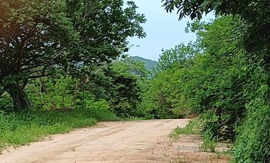 TERRENO DE1.600 MTS2 EN CONJUNTO CERRADO CAMPESTRE EN SANTA MARTA.